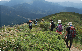 庄原の山